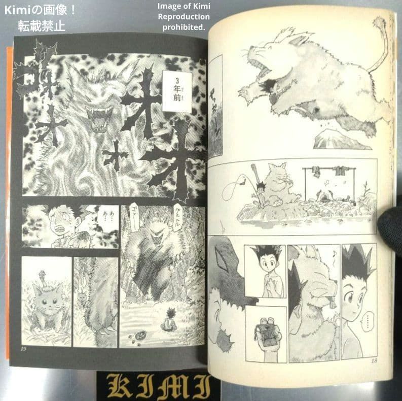 HUNTER×HUNTER 1 初版 第1刷発行 冨樫義博 ハンター×ハンター とがし