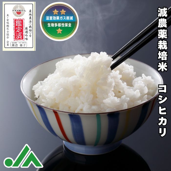 令和7年産】栃木県産コシヒカリ 10kg 減農薬米 - メルカリ