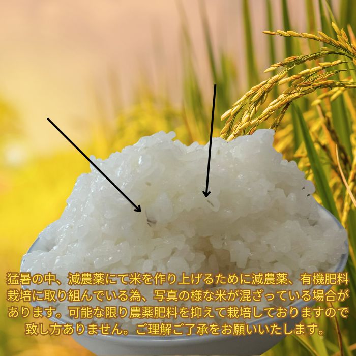 令和7年産】栃木県産コシヒカリ 10kg 減農薬米 - メルカリ