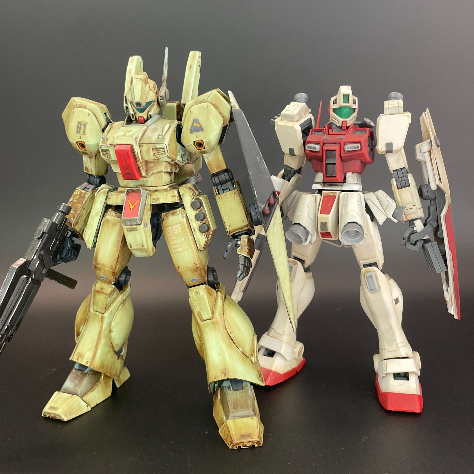 ガンプラ【中古品/汚れ、ほこりひどい、改造、塗装、ミキシング品】 MG