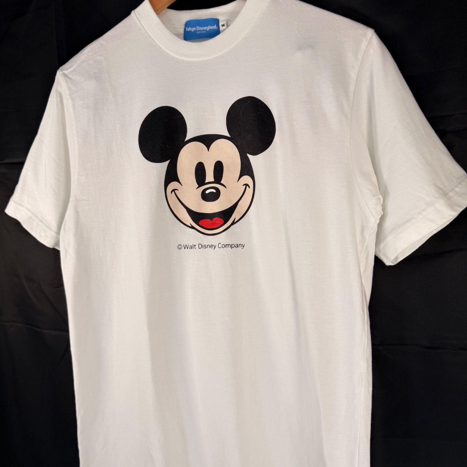 90s～00s 東京ディズニーランド ヴィンテージ ミッキーマウス Tシャツ 
