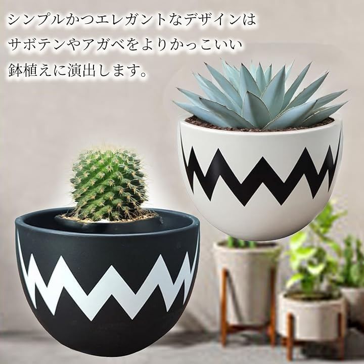 Hyack アガベ 鉢 陶磁鉢 塊根 陶器 4号 植木鉢 盆栽鉢 陶器鉢 塊茎