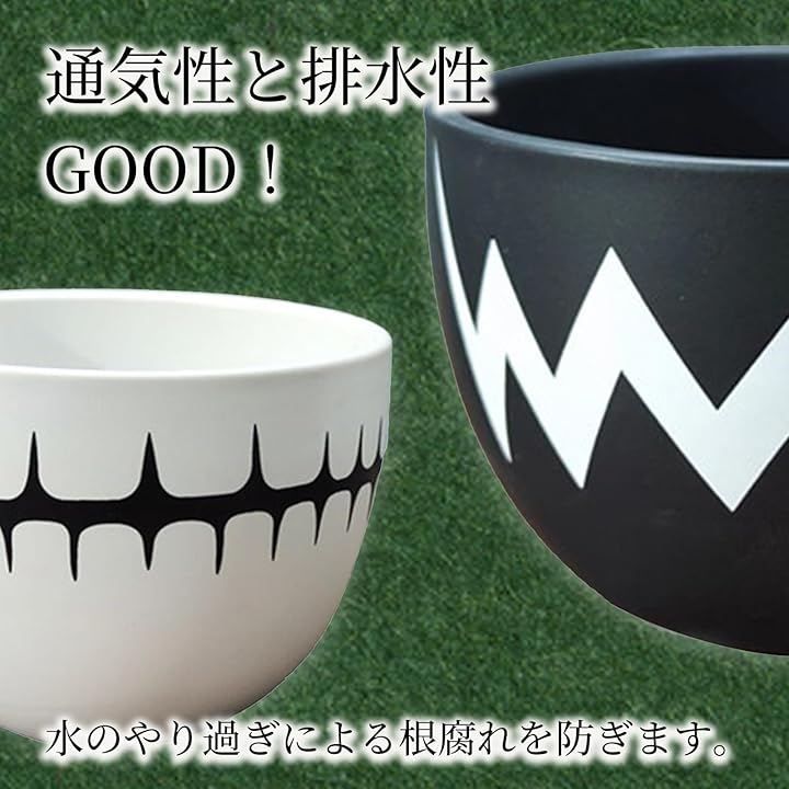 Hyack アガベ 鉢 陶磁鉢 塊根 陶器 4号 植木鉢 盆栽鉢 陶器鉢 塊茎