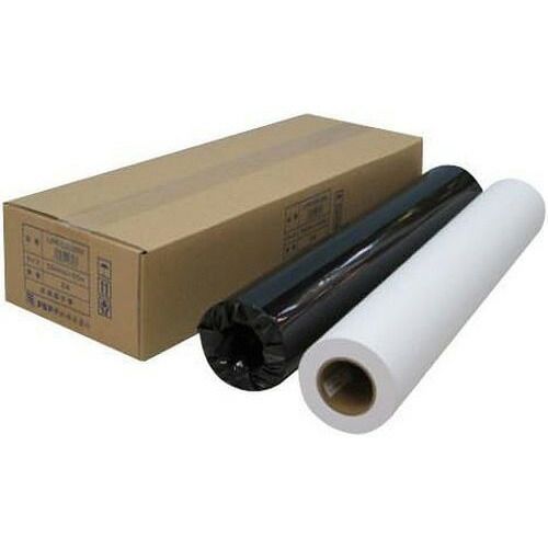 アジア原紙 大判インクジェットプリンタ用紙 ロール 普通紙 エコノミー A1 594mm×50m 2本入 IJPR-5950EN （1点）