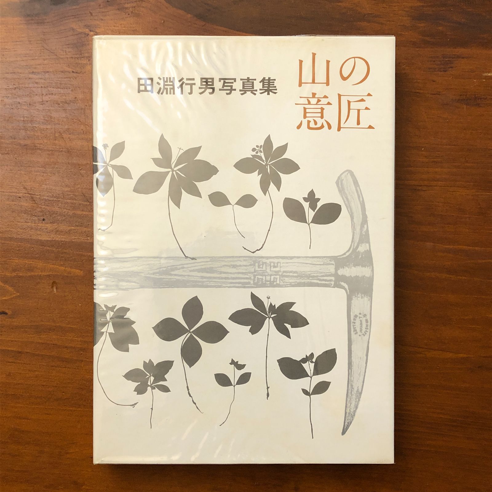 本 【ぎふちょう：写真絵本】田淵行男写真集 初版発行 大幅に値下げ