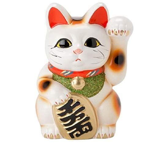 新品 白 小判猫 6号 人を招く左手 招き猫 常滑焼