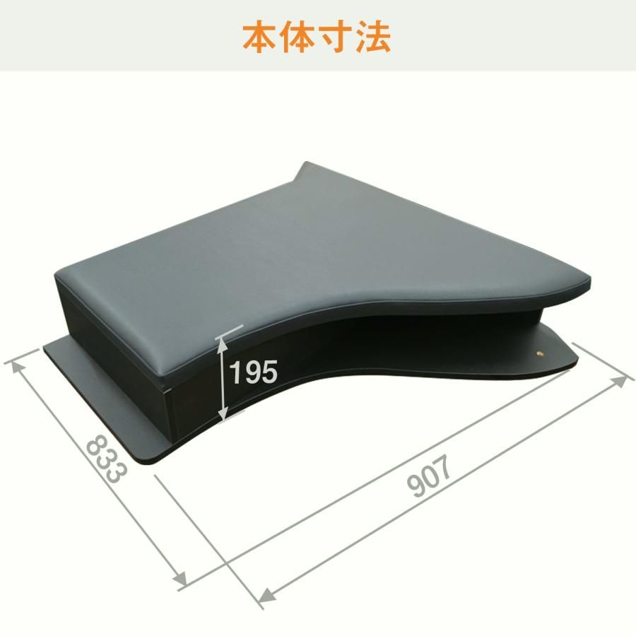 送料無料】日野 プロフィア センターフラットキット | 17プロフィア 17