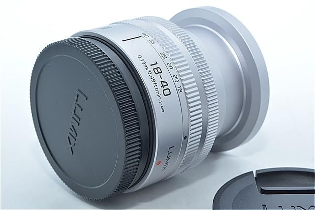 884☆新品級☆パナソニック(Panasonic) 標準ズームレンズ LUMIX S 18