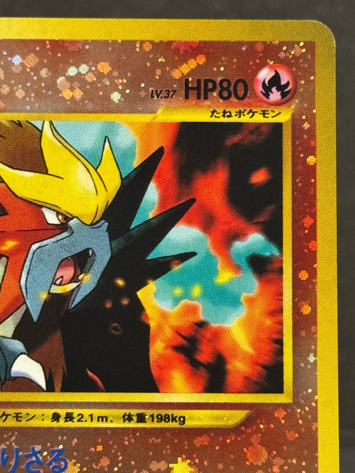 旧裏】エンテイ LV.37 No.244 プレミアムファイル2 ポケモンカード