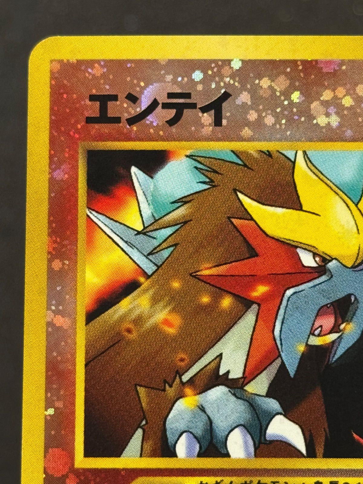 旧裏】エンテイ LV.37 No.244 プレミアムファイル2 ポケモンカード