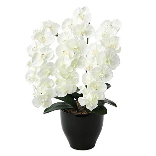 新品 光触媒 人工観葉植物 光の楽園 プレミアム胡蝶蘭W 659K135
