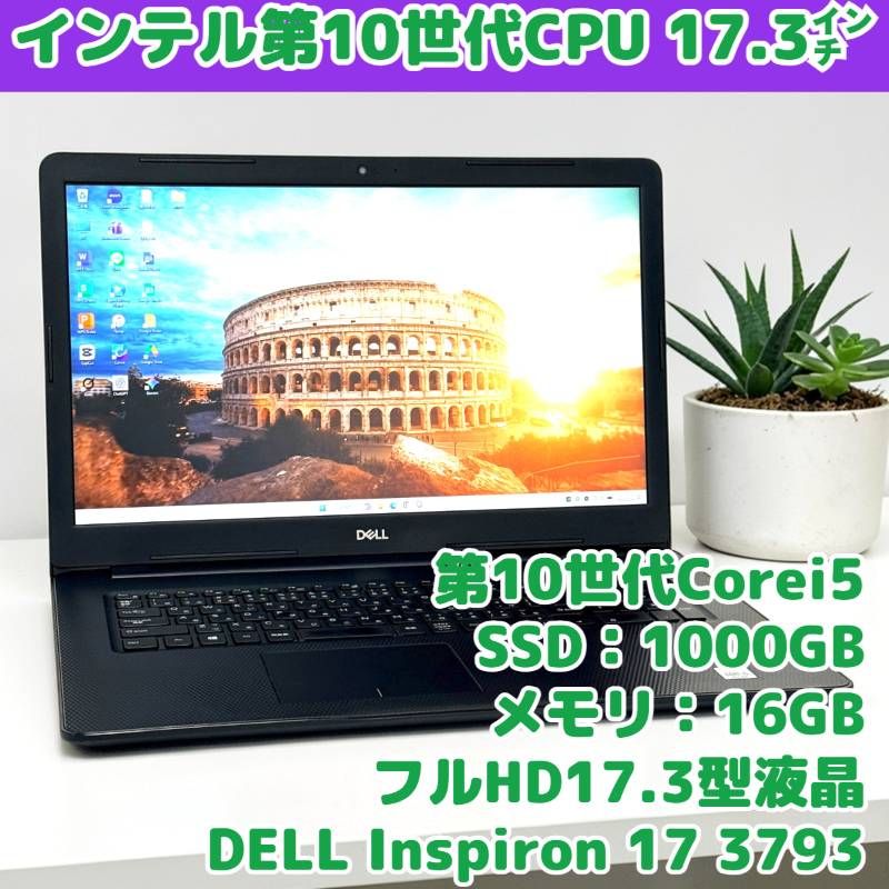 DELL 17.3