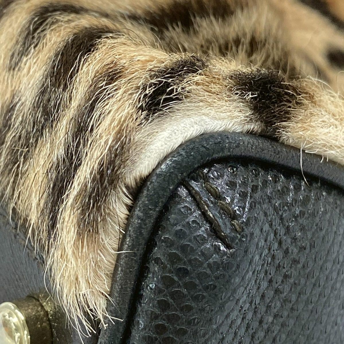 Cartier(カルティエ) ハンドバッグ マルチェロ アイボリー×ダーク 