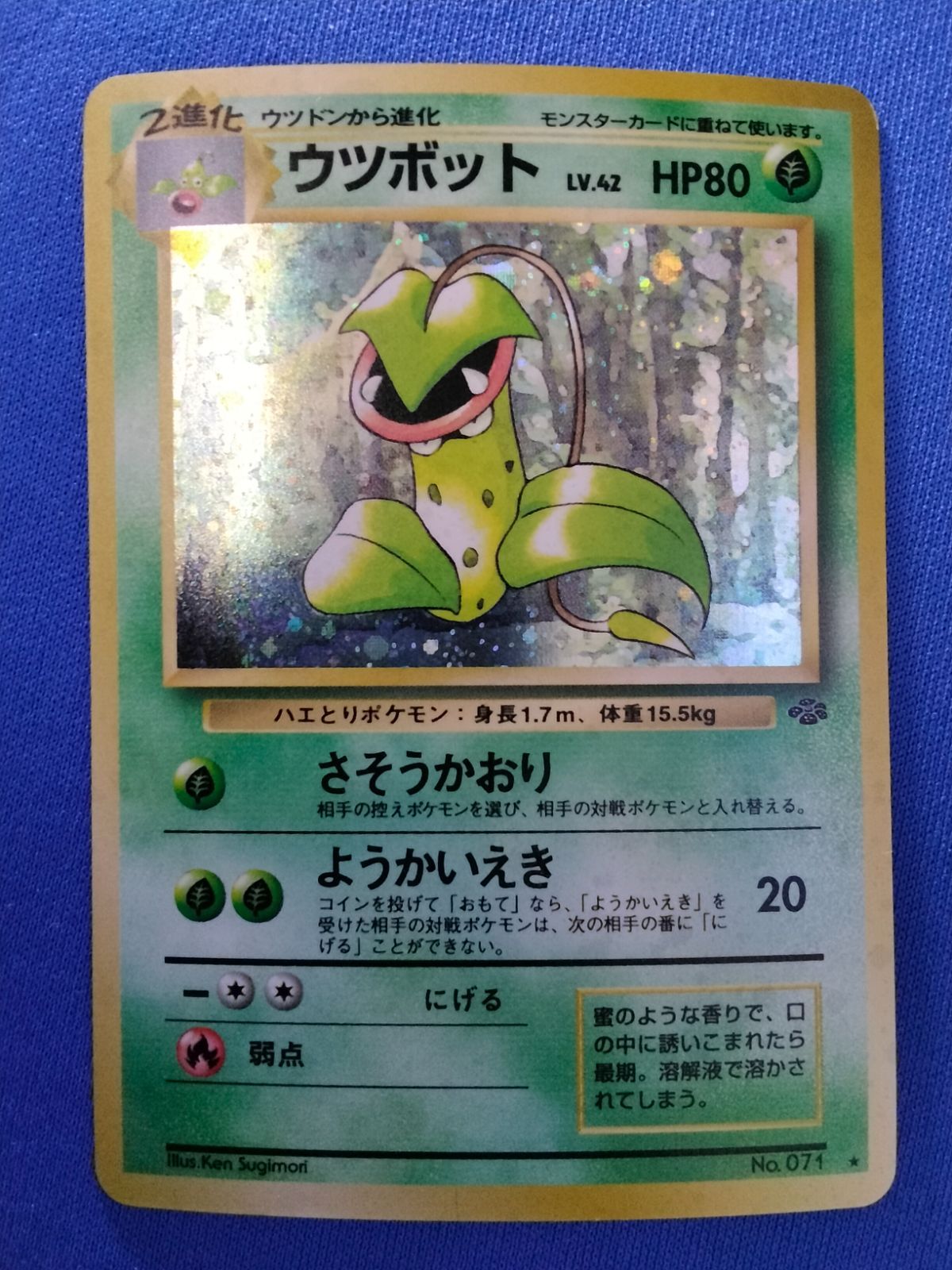 ポケモンカード 旧裏 ウツボット No.071 ホロ ポケモンカードゲーム Lv.42 No.071 ウツボット 旧裏 渦巻きホロ
