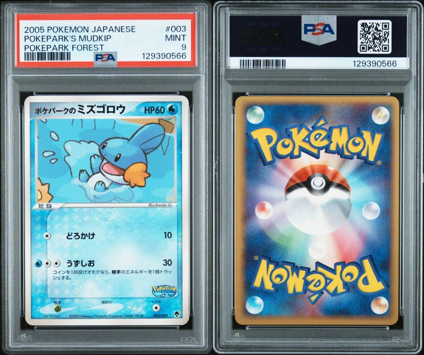ポケパークのミズゴロウ PSA9 ポケパークプレミアムファイル - メルカリ