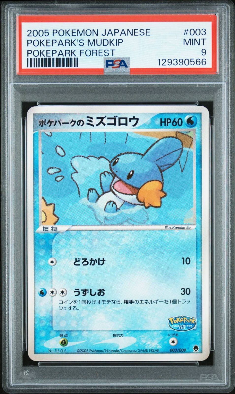ポケパークのミズゴロウ PSA9 ポケパークプレミアムファイル - メルカリ