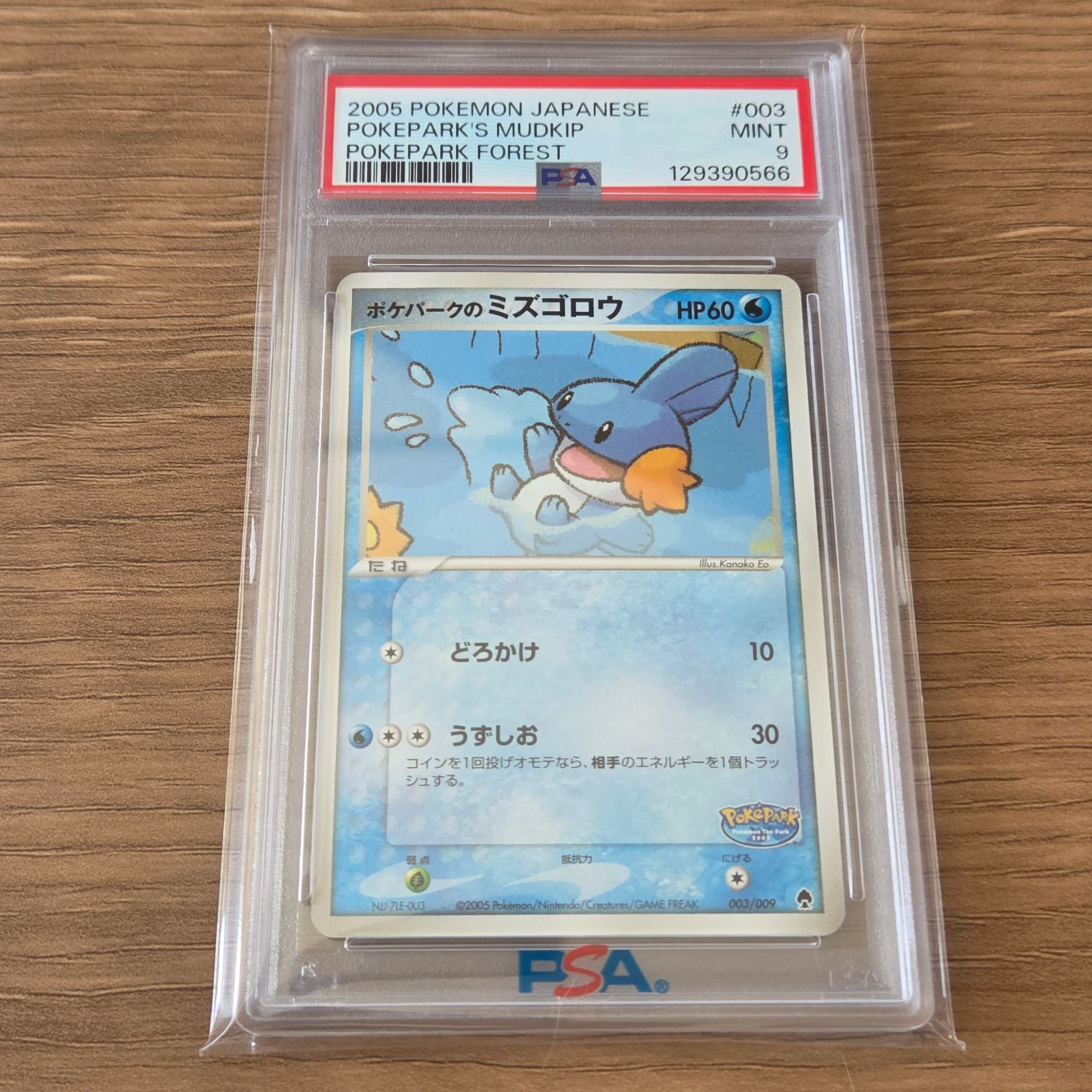 ポケパークのミズゴロウ PSA9 ポケパークプレミアムファイル - メルカリ