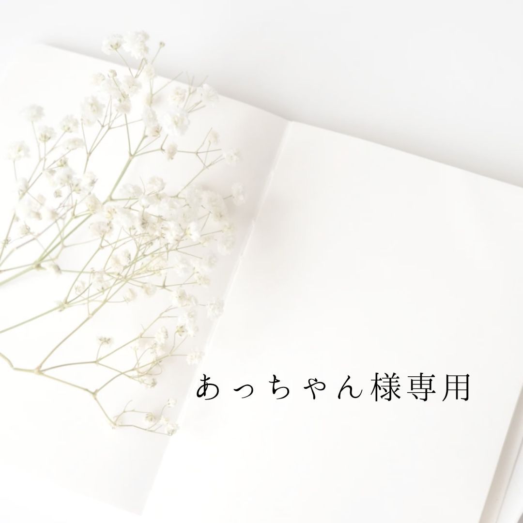 あっちゃん様専用 - メルカリ あっちゃん様専用 - メルカリ