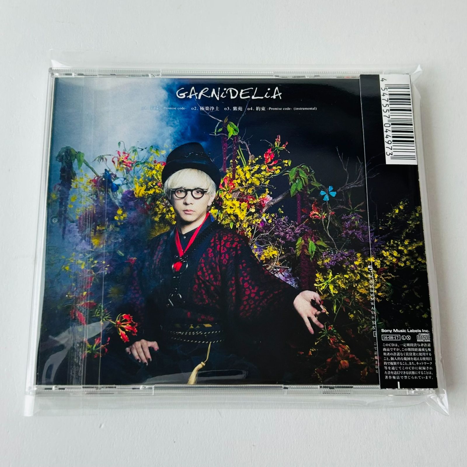 Amazon.co.jp: 約束 -Promise code- GARNiDELiA: ミュージック