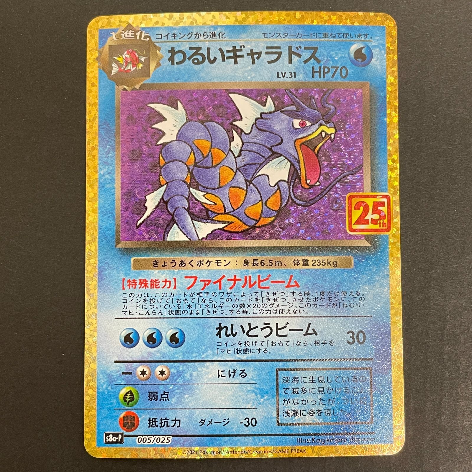 ポケモンカード わるいギャラドス 005/025 25th PSA10 わるい