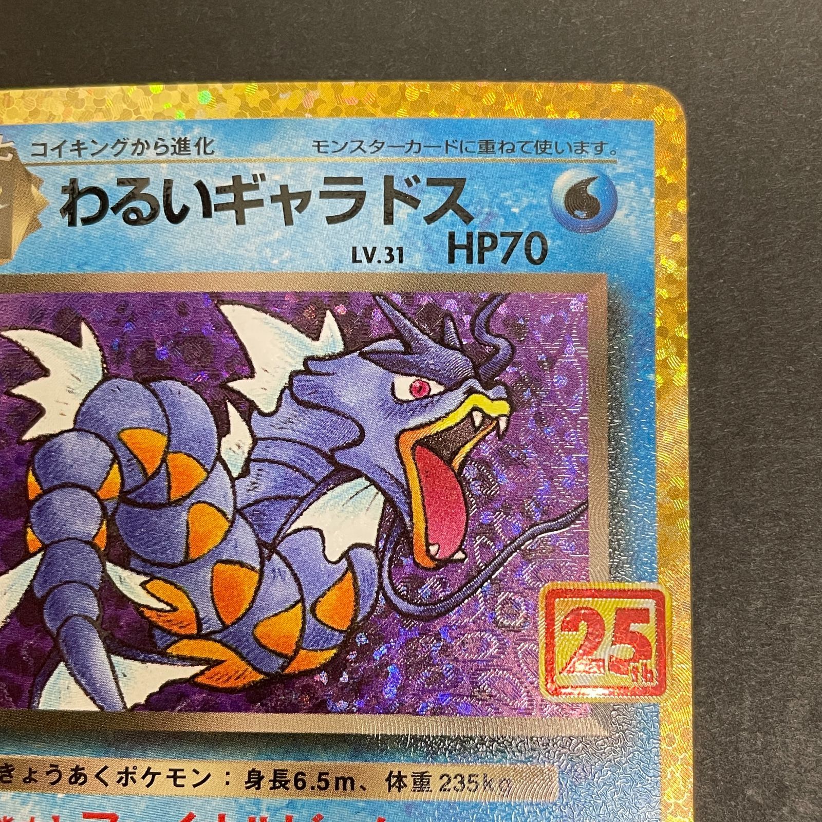 ポケモンカード わるいギャラドス 005/025 25th PSA10 わるい
