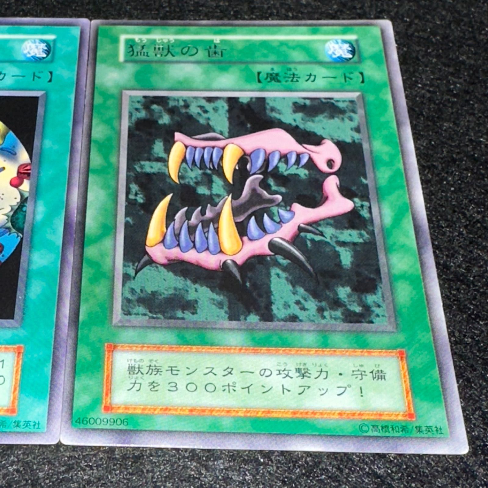 遊戯王】No.5079 初期 字レア 細菌感染 猛獣の歯 字レア 各1枚 計2枚