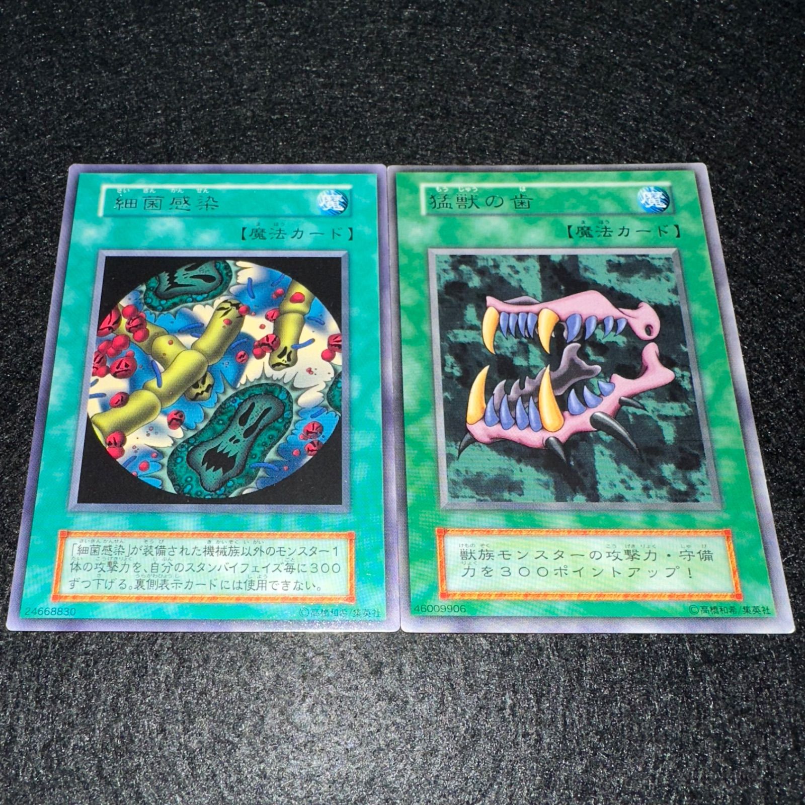 遊戯王】No.5079 初期 字レア 細菌感染 猛獣の歯 字レア 各1枚 計2枚