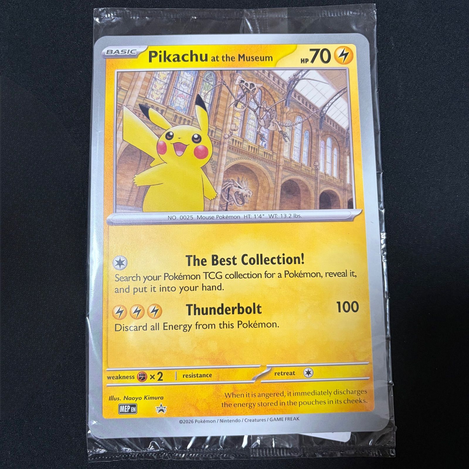 Pikachu at the Museum ピカチュウ ロンドン自然史博物館