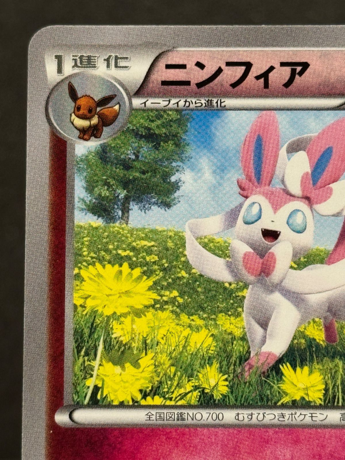 美品】ニンフィア 091/XY-P バトルフェスタ2014 ポケモンカード【送料