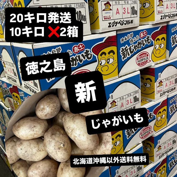 キングオブ新じゃが 20kg (新品・土付) - メルカリ