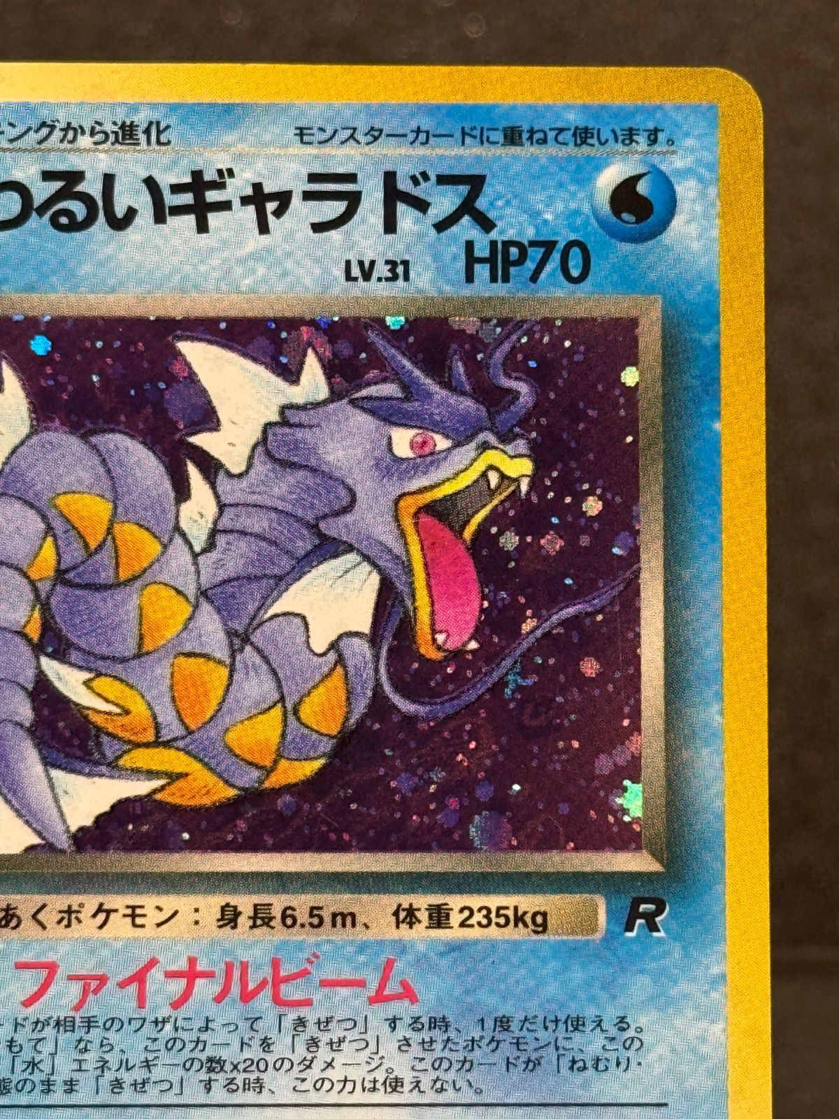 旧裏】わるいギャラドス LV.31 ☆ No.130 ロケット団 ポケモンカード