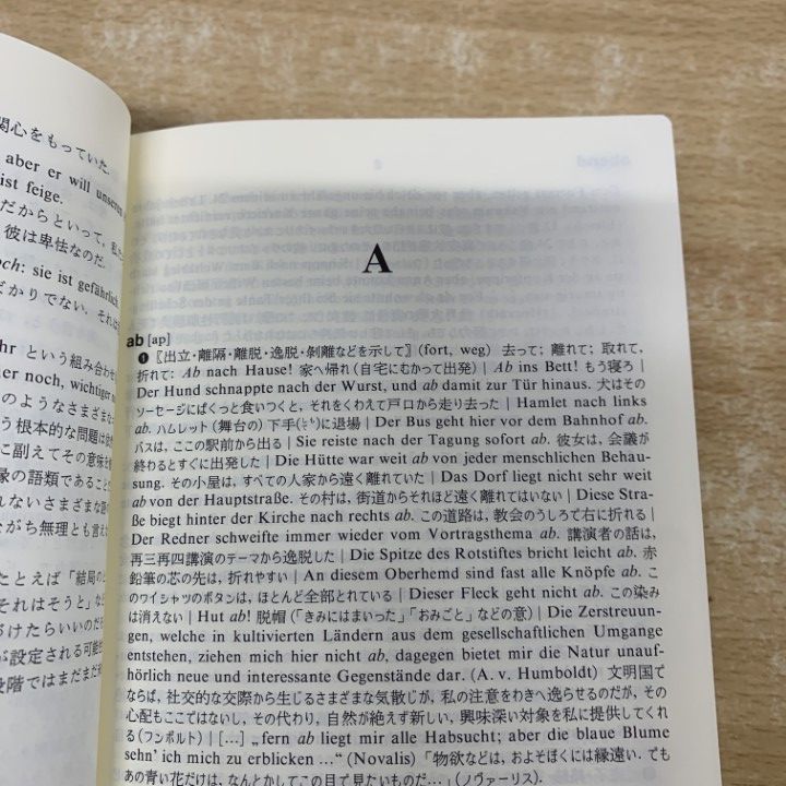 △01)【1点限り!】【希少本】ドイツ語副詞辞典/岩崎英二郎/白水社/1998