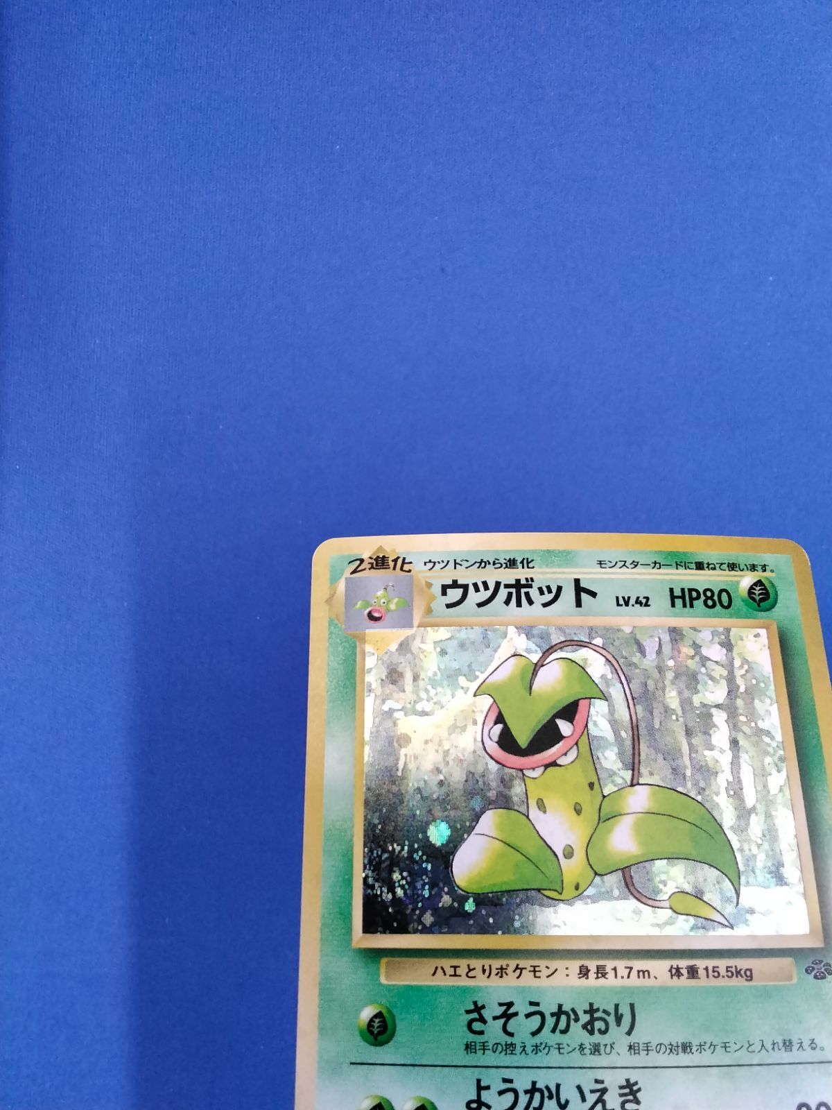 ポケモンカードゲーム Lv.42 No.071 ウツボット 旧裏 渦巻きホロ