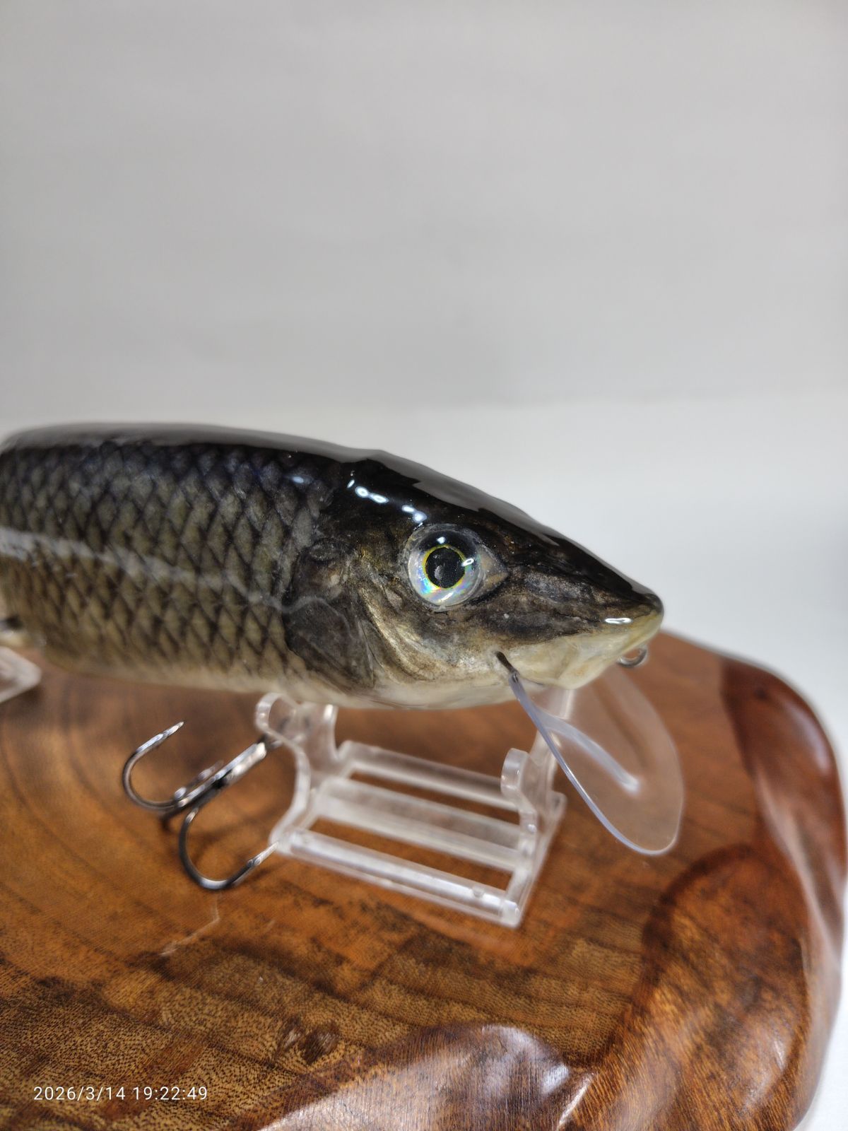 剥製魚皮ルアー タイニークラッシュハス、クラッシュ9ニジマス、ニゴイ