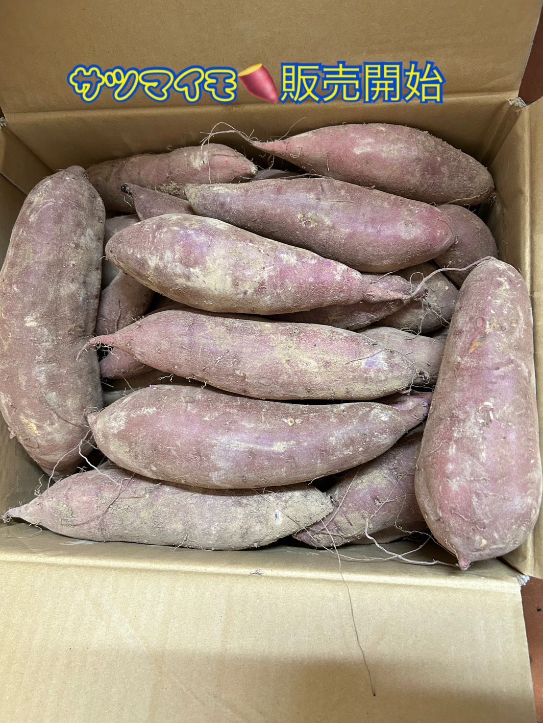食品 熟成紅あずま さつまいも 大分県豊後大野市超熟成紅あずま20kg