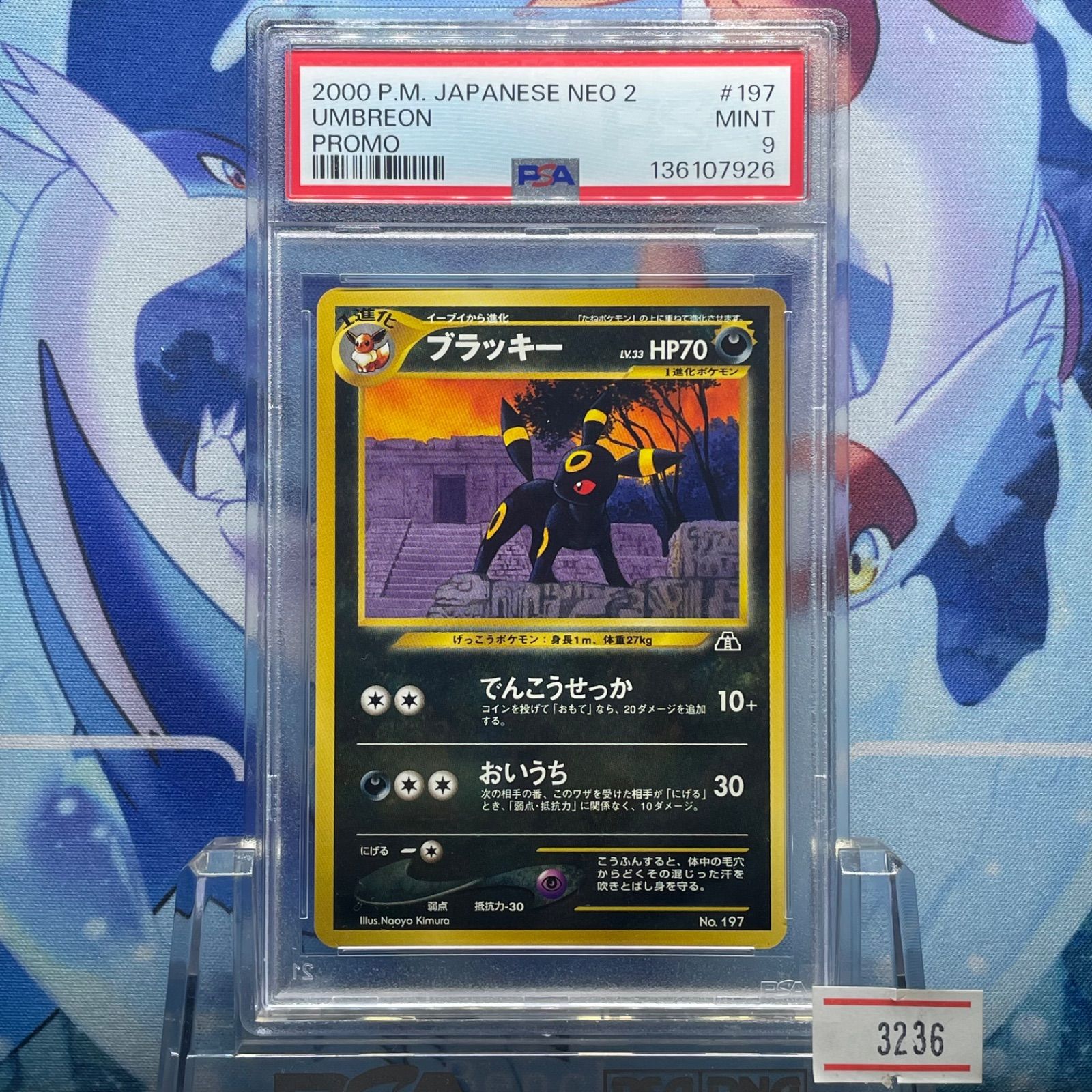 PSA9 ブラッキー 旧裏 psa9 ブラッキー 旧裏 プレミアムファイル2 neo2