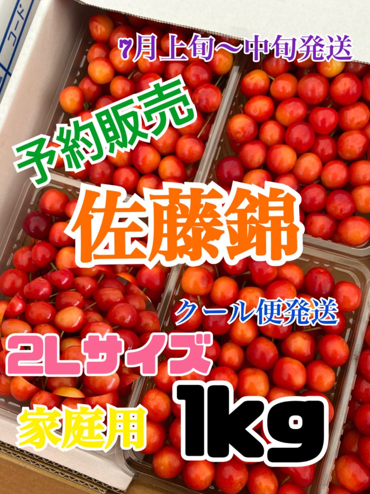 5 令和8年 予約販売　北海道産　さくらんぼ　佐藤錦　2Lサイズ　約1キロ