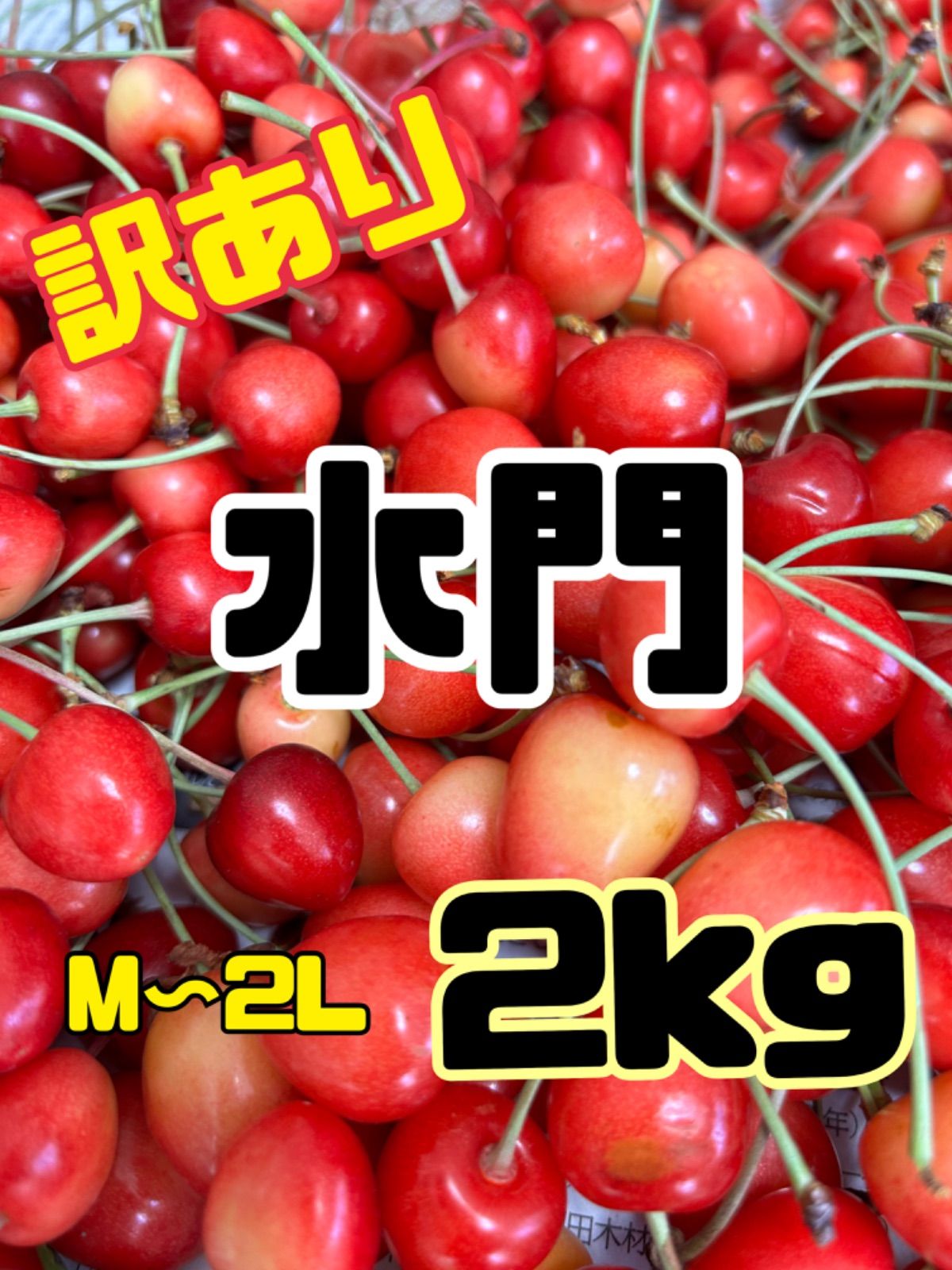 6 令和8年 予約販売　北海道産　さくらんぼ　水門　約2キロ