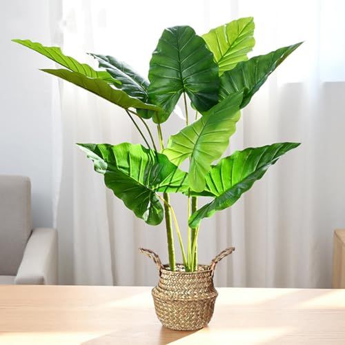 新品 フェイクグリーン 人工観葉植物 光触媒 大型観葉樹 高さ65CM インテリア 鉢は取り外し不可 簡単保 室内、家庭、日よけバルコニー、結婚、現代的な装飾、引越しのギフトに最適 (ディフェンパキア)