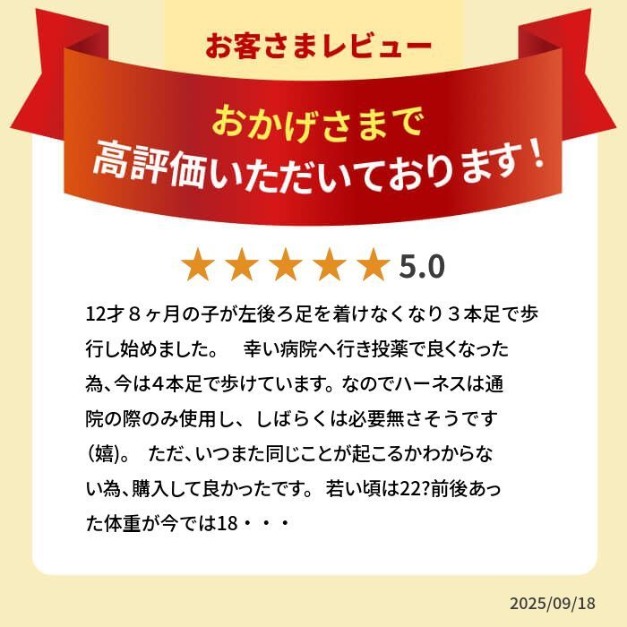 中型犬 大型犬用 介護ハーネス 歩行補助ハーネス 後ろ足用 ララウォーク ステップ LaLaWalk STEP ゴールデンレトリバー ラブラドールレトリバー 柴犬