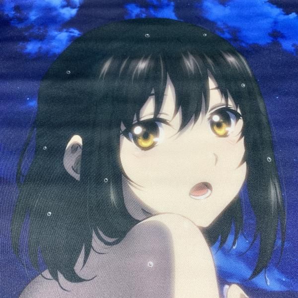 中古】ゲーマーズ 姫柊雪菜 煌坂紗矢華 描き下ろし B2タペストリー 
