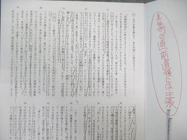 本 SAPIX サピックス SS特訓 志望校別入試攻略プリント 国語 01～11
