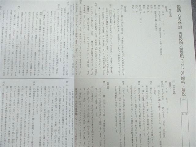 本 SAPIX サピックス SS特訓 志望校別入試攻略プリント 国語 01～11