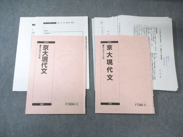駿台 京大現代文 テキスト通年セット 2024 計2冊 中野芳樹 020S0D
