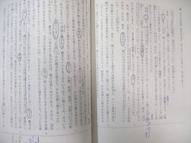 駿台 京大現代文 テキスト通年セット 2024 計2冊 中野芳樹 020S0D
