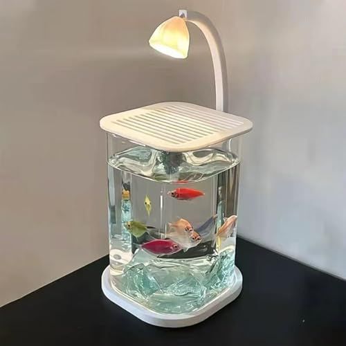 ガラス製 熱帯魚 セット 小型 メダカ飼育水槽 フルセット コンパクト 