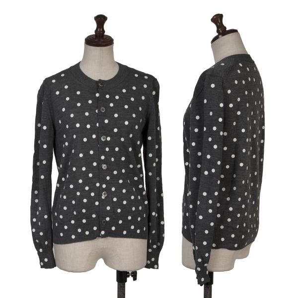 tricotCOMMEdesGARCNS コムデギャルソン　トリコ　ドット柄 トリココムデギャルソンtricot COMME des GARCONS ウールドット