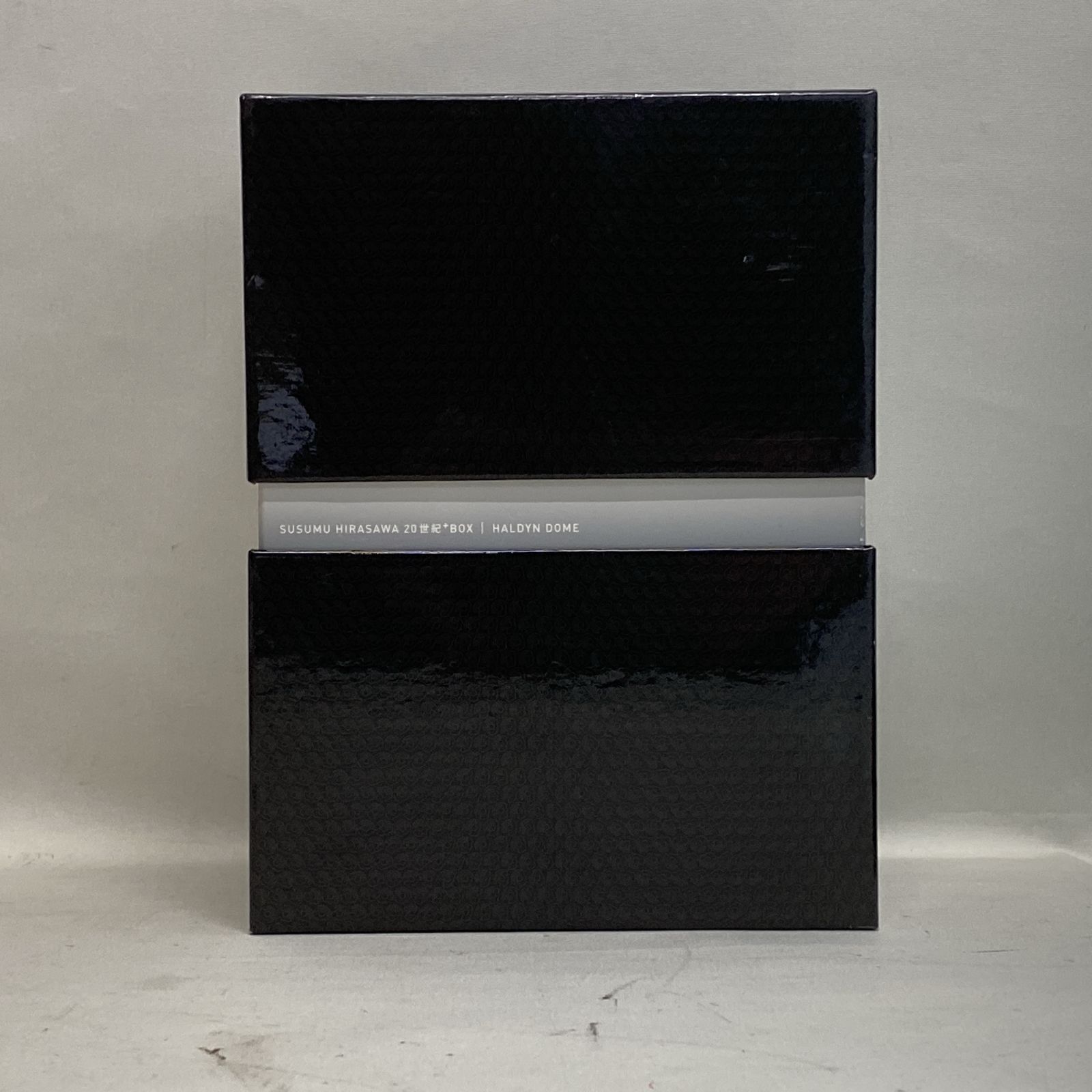 浜館21-1306] 平沢進 SUSUMU HIRASAWA 20世紀+BOX HALDYN DOME