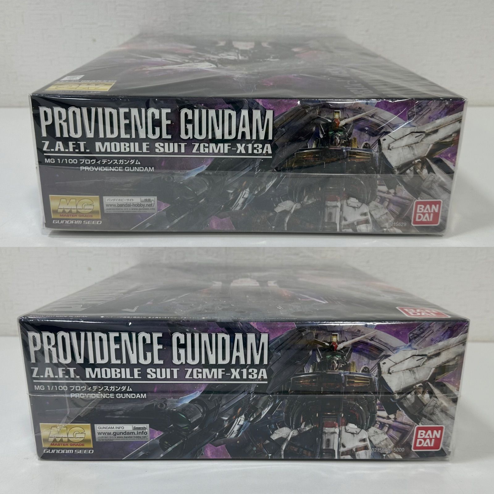 BANDAI バンダイ 機動戦士ガンダムSEED MG 1/100 PROVIDENCE GUNDAM