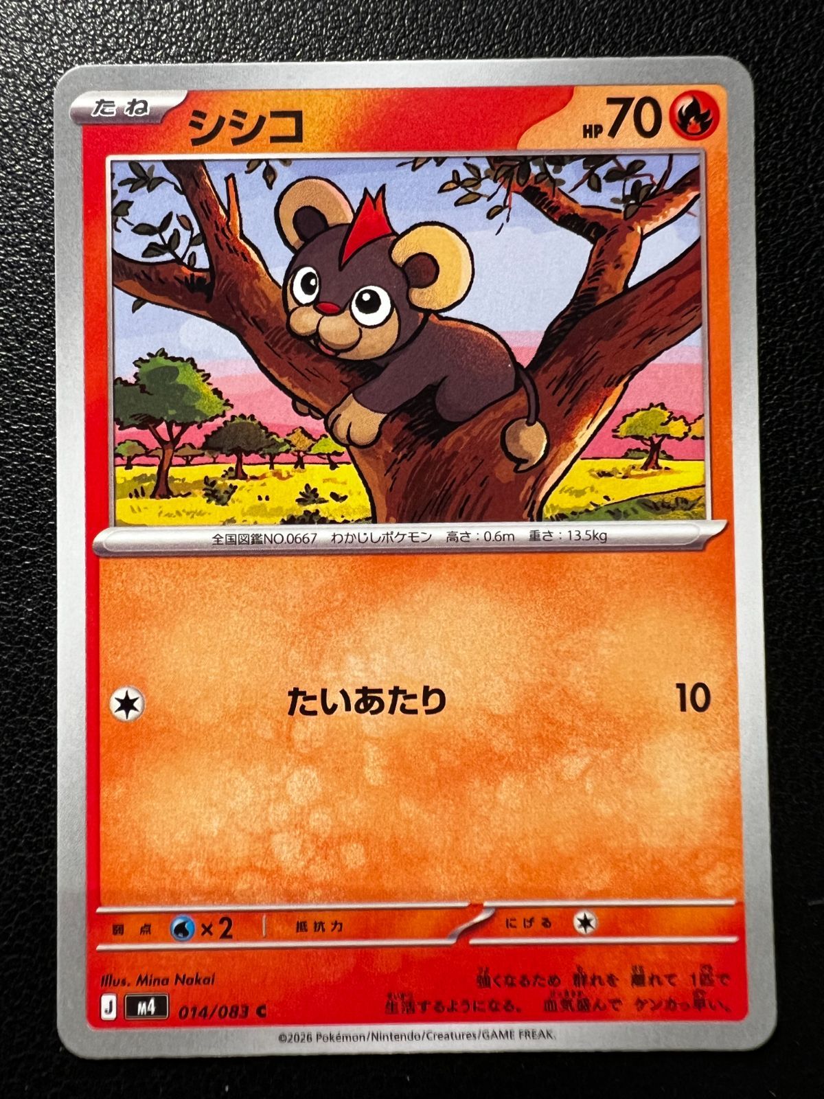 シシコ C 8枚 [M4 014/083](拡張パック「ニンジャスピナー」) Litleo C